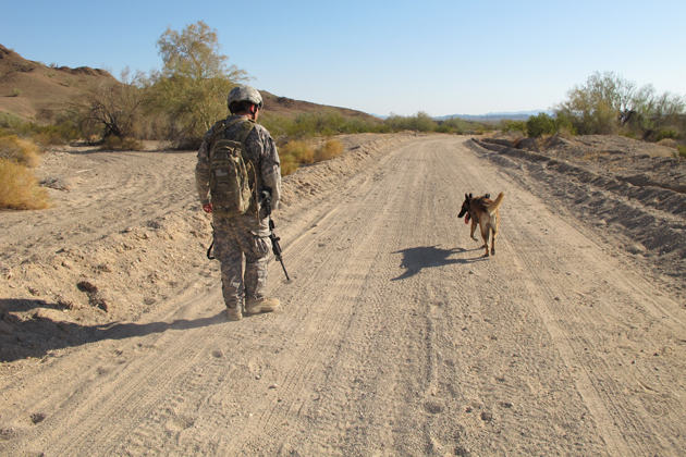 Off-Leash Training Leads to Life Saving