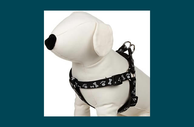 Petco Step In Harness