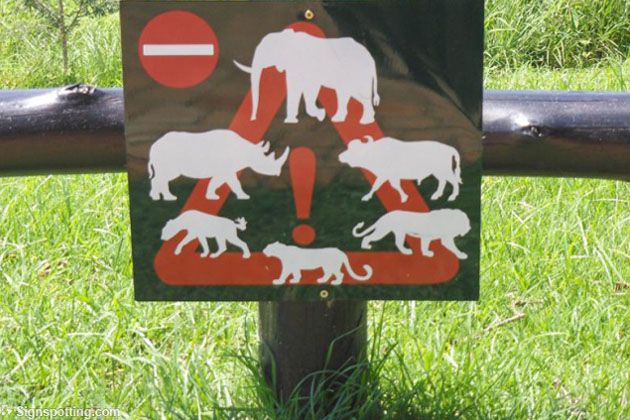 Beware of ... Everything!