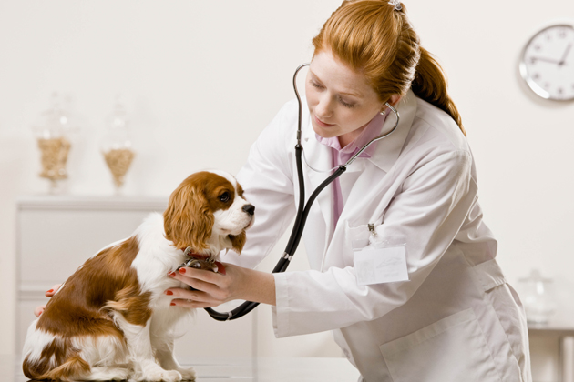 Wise Investment #2: Schedule a Six-Month Checkup