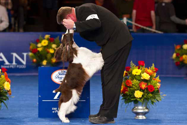Group Winners at The National Dog Show Presented by Purina