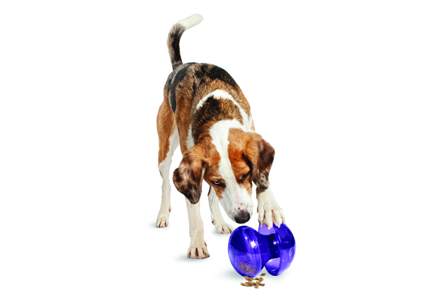 Premier Food Dispensing Toys 