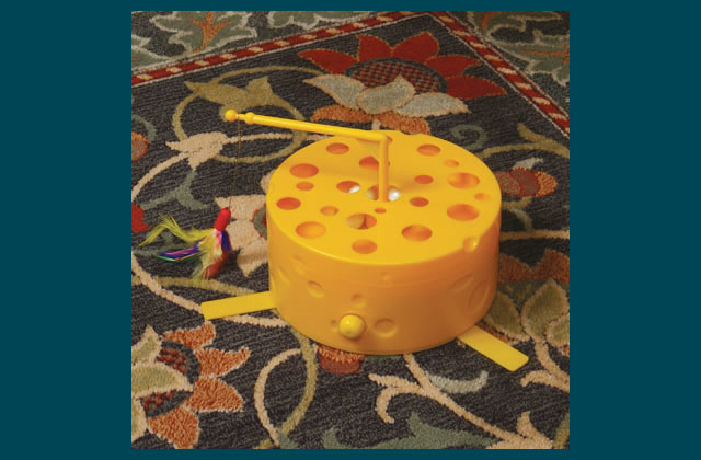 Swiss Cheese Motion Toy