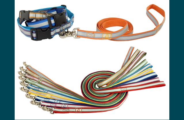 OllyDog Nightlife Leash and Collar