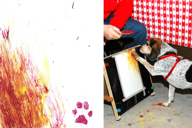 Pups Who Have a Picasso Streak