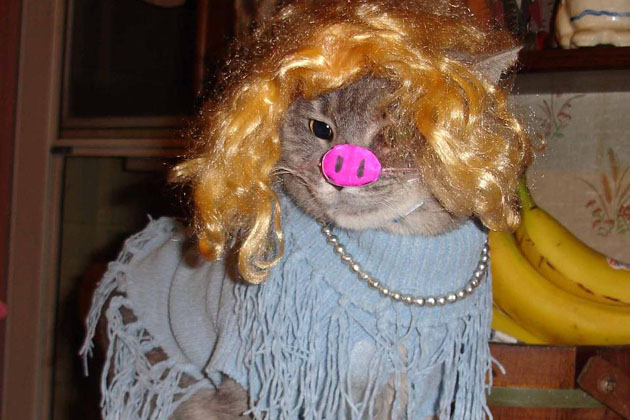 4. Vito as Miss Piggy