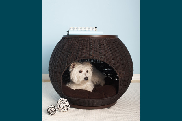 The Igloo Dog Bed