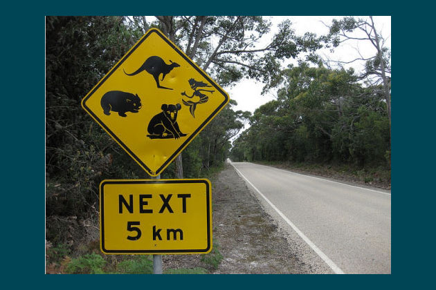Mermaid Crossing