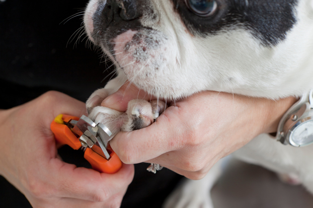 Trim Those Nails