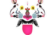 Collaborations4