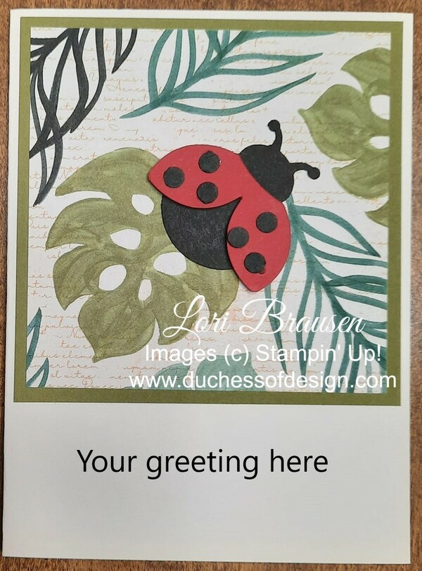 Hello Ladybug Bundle