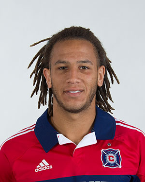 Wallstony_mls_chicago