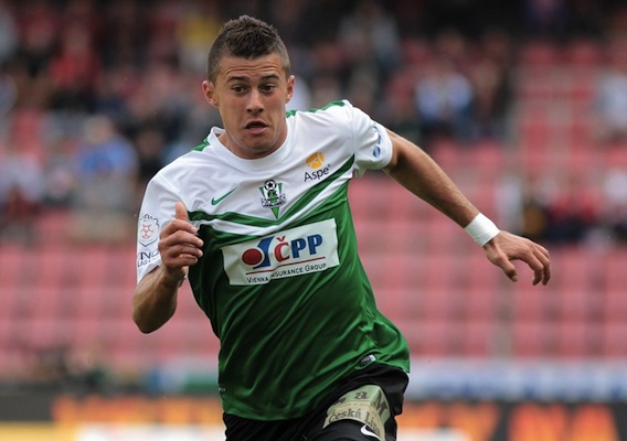 21215_supplied_nermincrnkic