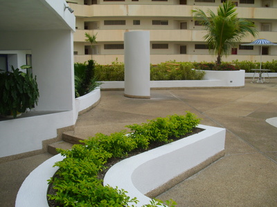 Dsci1973