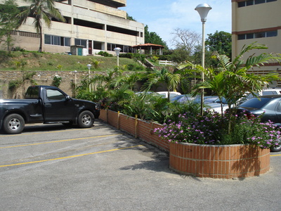 Dsc00950