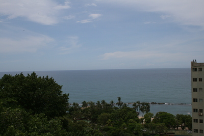Vista1