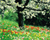 Spring flash banner without action script code!