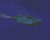 NURBS Submarine: Lighting/Particles