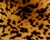 Leopard Skin