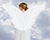 Creating realistic Wings