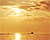 Warm Sunsets