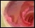 Blend Layers with Opacity Mask