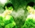 The two sisters