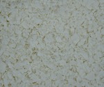 914_thumb
