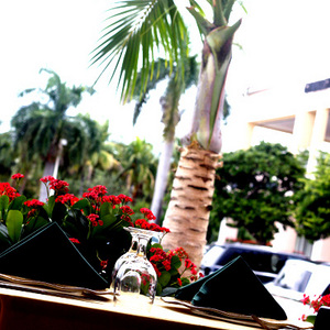 Outdoor Table