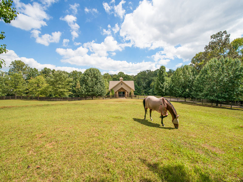 European Equestrian Estate in Marietta (Previously Listed) Atlanta