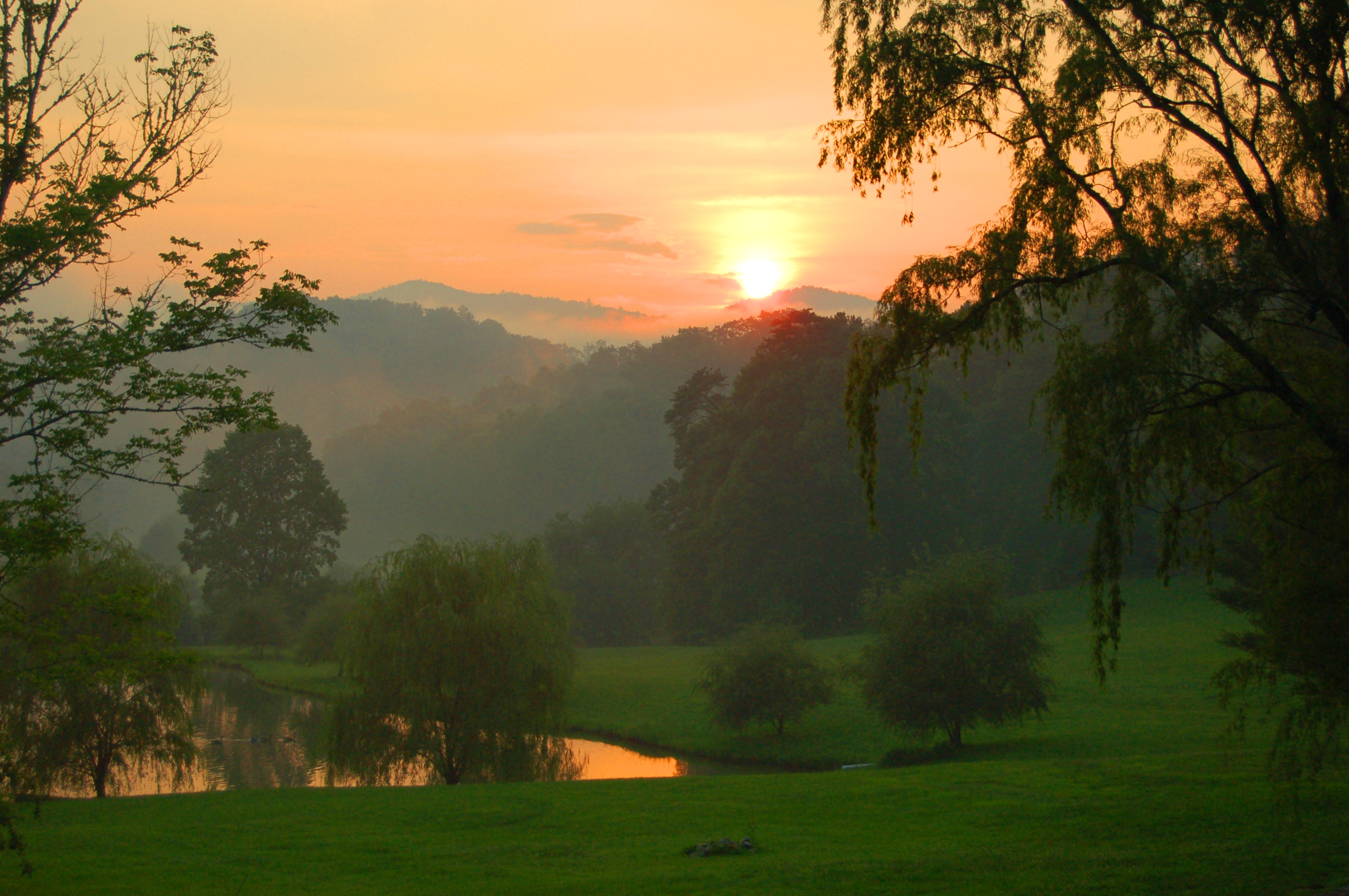 Exquisitely Enchanting Slice Of Canaan Valley Heaven (Previously Listed