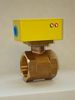 Flo-Gard II Flow Switches Liquid