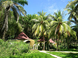 Beach-front-bungalows