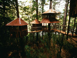 Treehouse