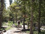 Nikki_singletrack_art