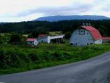 Day4_orcas_scenery_f