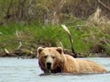 Explorers_russia4