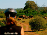 Rhythmofafrica_4_cropped