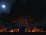 Rhythmofafrica_7_cropped