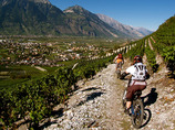 Alpenrock_8_cropped
