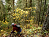 Seatosky_7_cropped