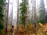 Seatosky_8_cropped