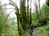 Seatosky_10_cropped