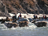 Kongakut9_cropped