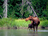 Tatshenshini_river1_cropped_