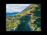 Hiker1