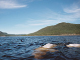 Saguenay3