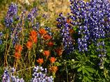 Cropped_15