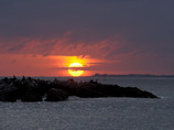 144586669_rha5p-l