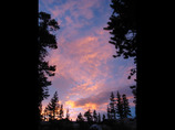 Yosfalsnocreekloop